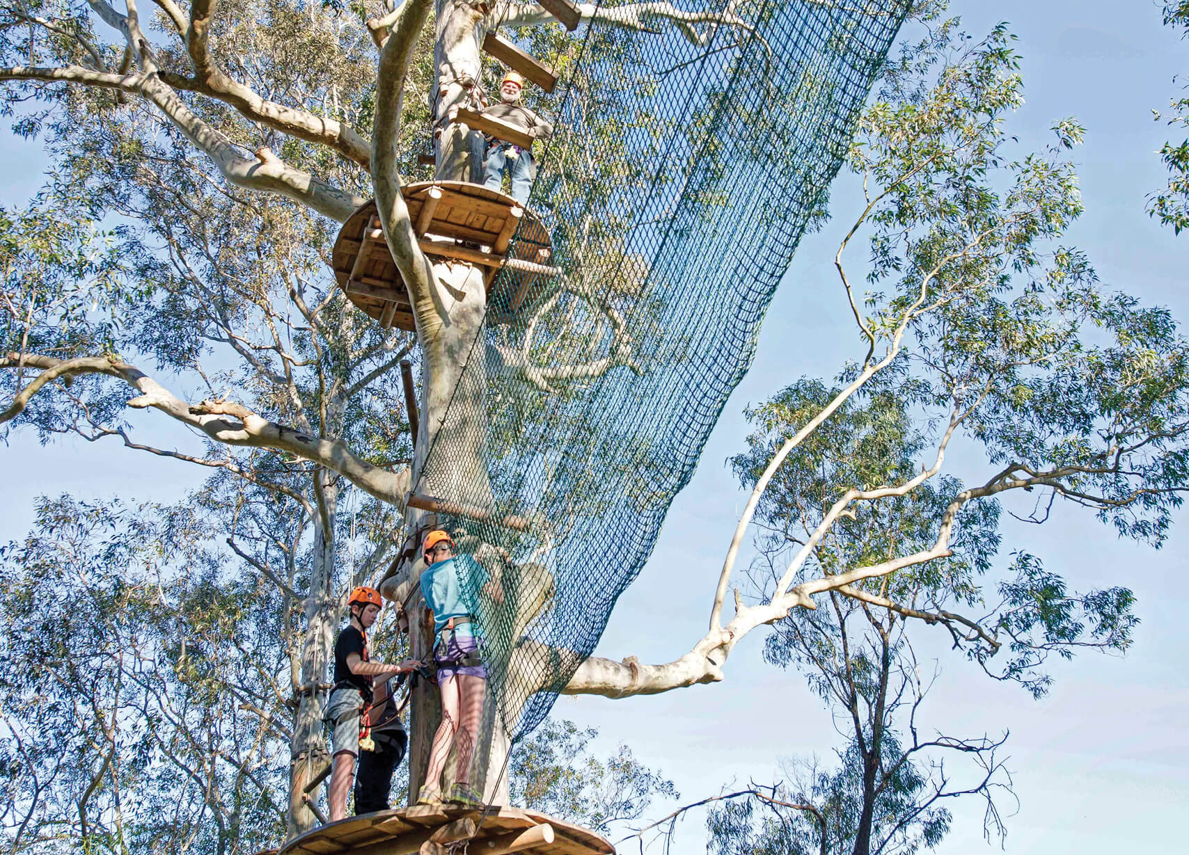 Treetops Adventure Western Sydney7