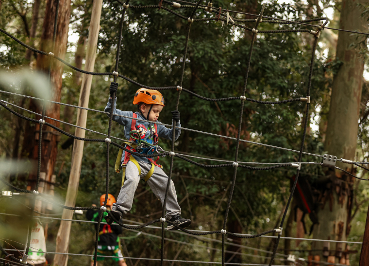 Small child navigating tree ropes course with helmet and gloves on